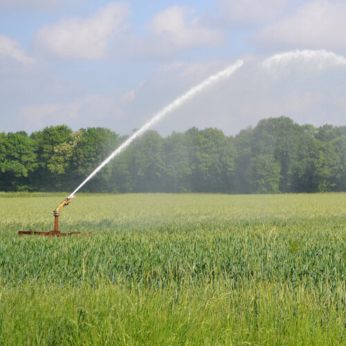 Beregnungsanlage auf Getreidefeld sprüht Wasser