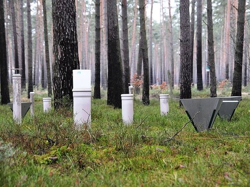 Depositions- und Streufallsammler auf einer Level-II-Fläche Depositions- und Streufallsammler auf einer Level-II-Fläche unter Kiefer