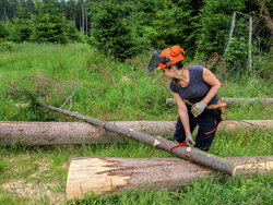 Gender Gap im Forstsektor
