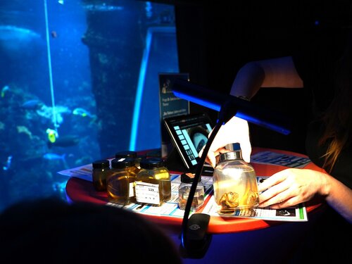 Forschungsreise Klimahaus Bremerhaven