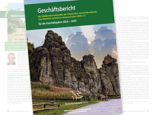 Titelseite des Geschäftsbericht