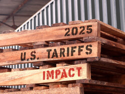 Timber exports to the USA have increased in recent years. Sawnwood and paper are sought-after export goods