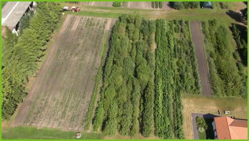 Klicken für eine Vergrösserung