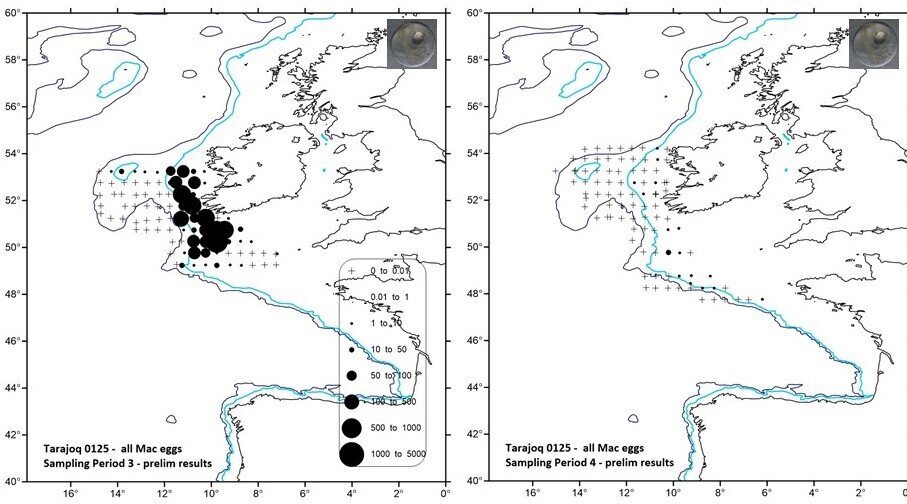 Vorläufige Ergebnisse: Die Verteilung der frisch abgelaichten Makreleneier während beider Beprobungsperioden. Nautical chart with information on the occurrence of mackerel eggs off the south-west coast of Ireland.