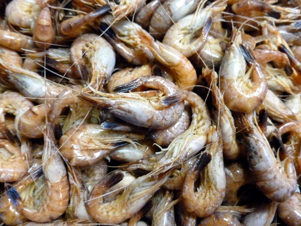 Nahaufnahme von gekochten Krabben