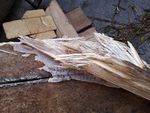 Holz, welches mit weißem Schwamm überzogen ist.