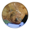 Kopf eines Plattfisches