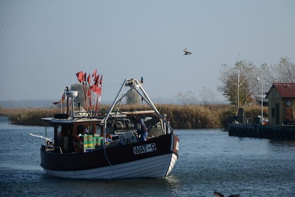 Stellnetzkutter – typisch für die Ostsee. Return of a gillnet boat to port
