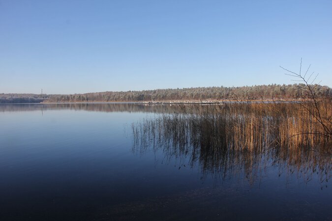 Klicken für eine Vergrösserung Winterimpression Stechlinsee in Nordbrandenburg.