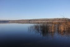 Winterimpression Stechlinsee in Nordbrandenburg.