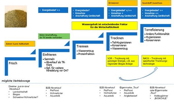 Outline of the necessary processing steps for regional utilisation options for shrimp peeling remains as well as possible products and marketing. 