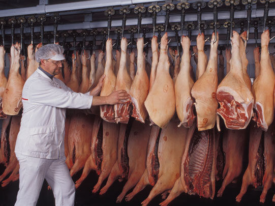 Fleisch hängt an einem Schienensystem eine Person in weißer Kleidung schiebt eine Reihen Keulen