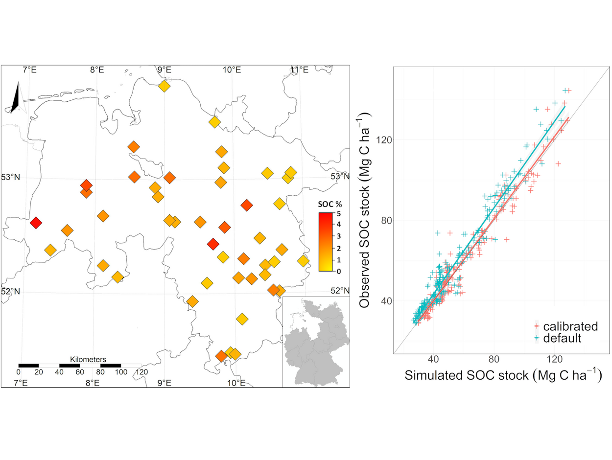 Observed and simulated soil organic carbon stocks in Lower Saxony (Germany)