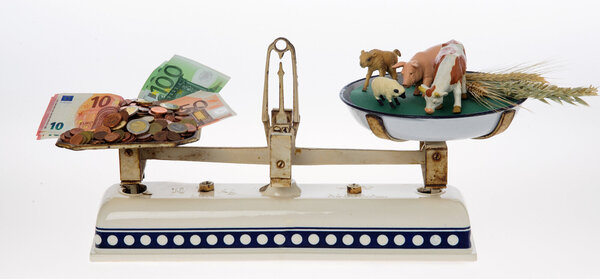 Lebensmittelpreise hängen von vielen Faktoren ab. Die Margen des Handels sind dabei nur ein Punkt. Eine Balkenwaage auf der einen Seite Geld in Scheinen und Münzen, auf der anderen Seite Tiere und Getreide.