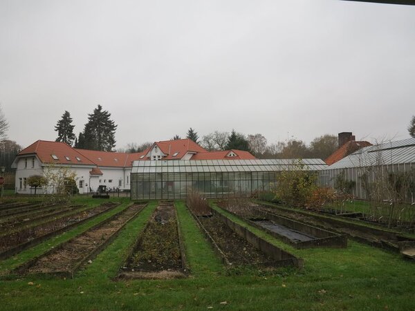 Klicken für eine Vergrösserung
