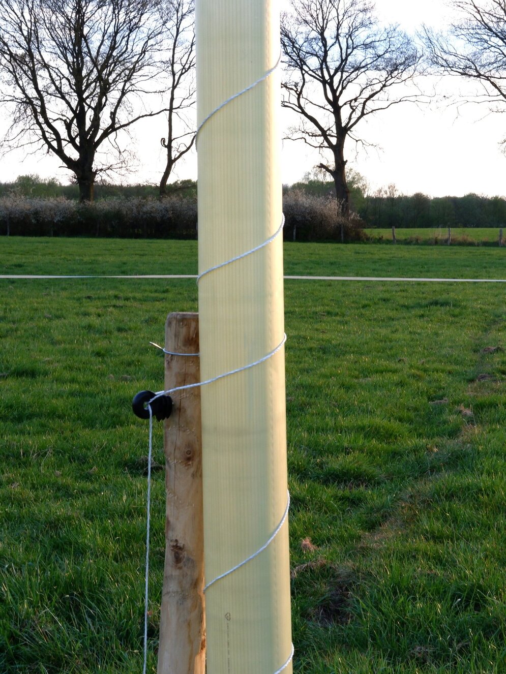 Baumschutzvariante 2 - TUBEX Ventex mit Elektrolitze