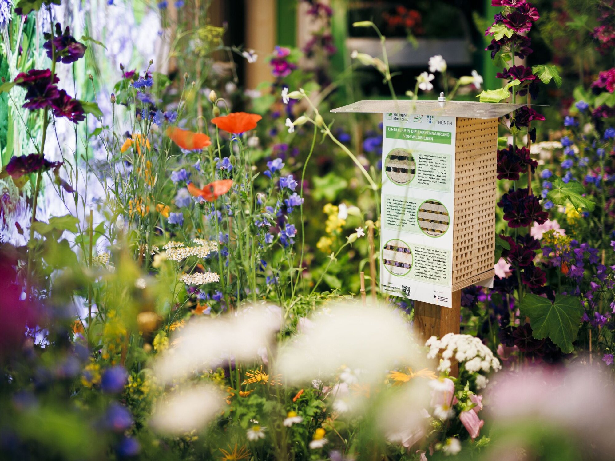 Einige Besucher*innen sagen, der Wildbienen-Stand sei der schönste der Grünen Woche. Ein Blumenmeer in der Mitte eine Nisthilfe für Wildbienen.