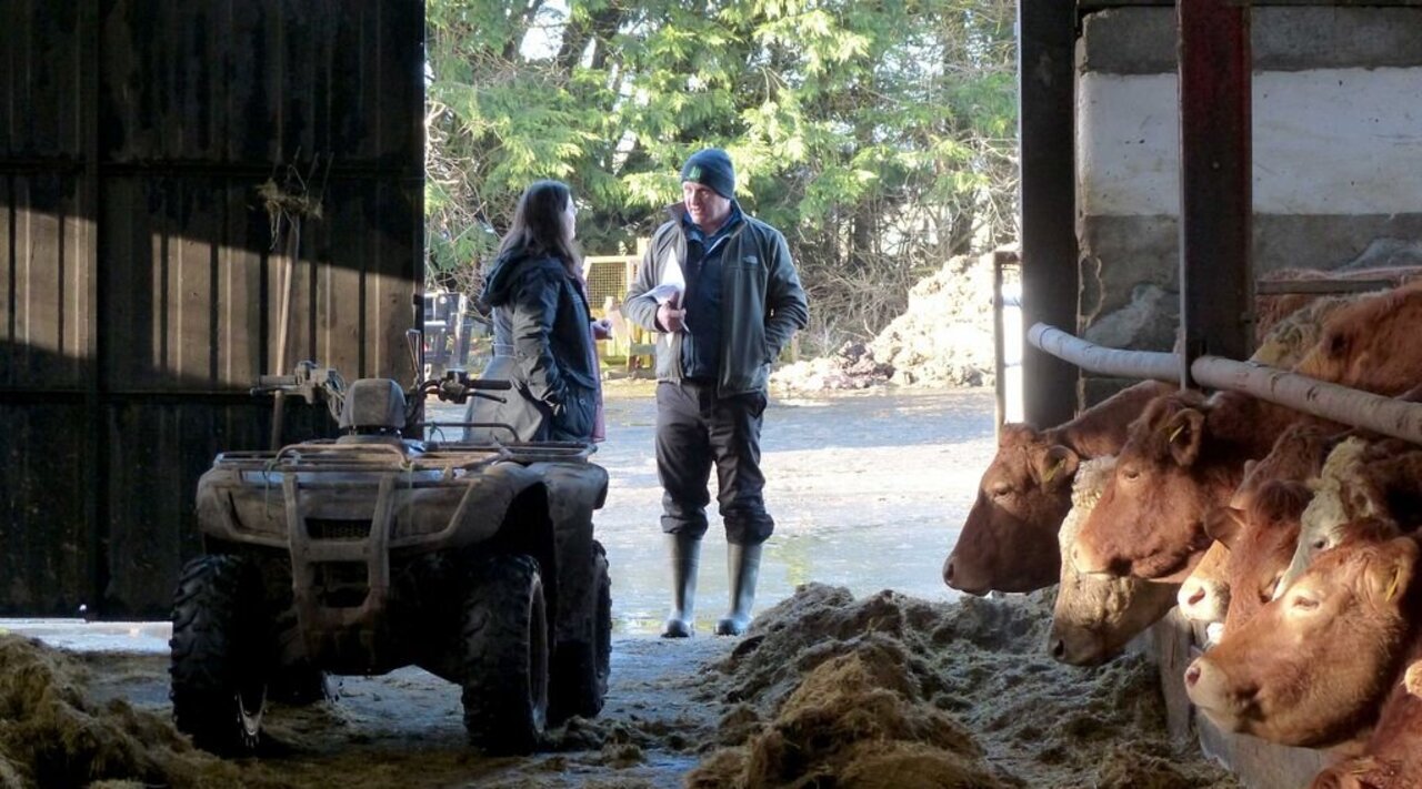 Kuhstall mit Technik und Landwirtin