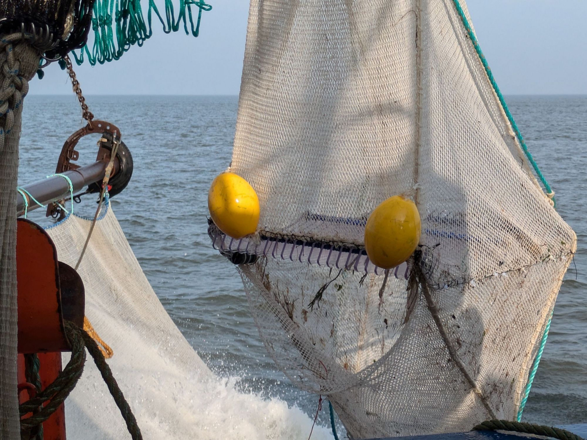 Ein Fischernetz "Kinggrid" mit 2 gelben Bojen hängt über dem Wasser.