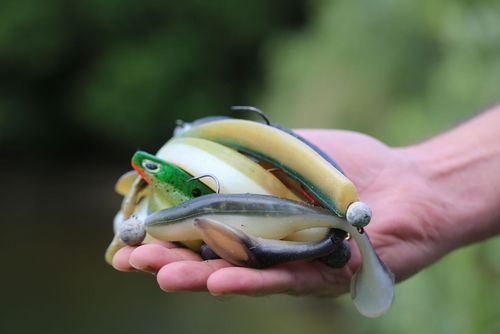 Auf einer Handfläche liegen verschiedene gummiartige, wie Fische aussehende Angelköder.