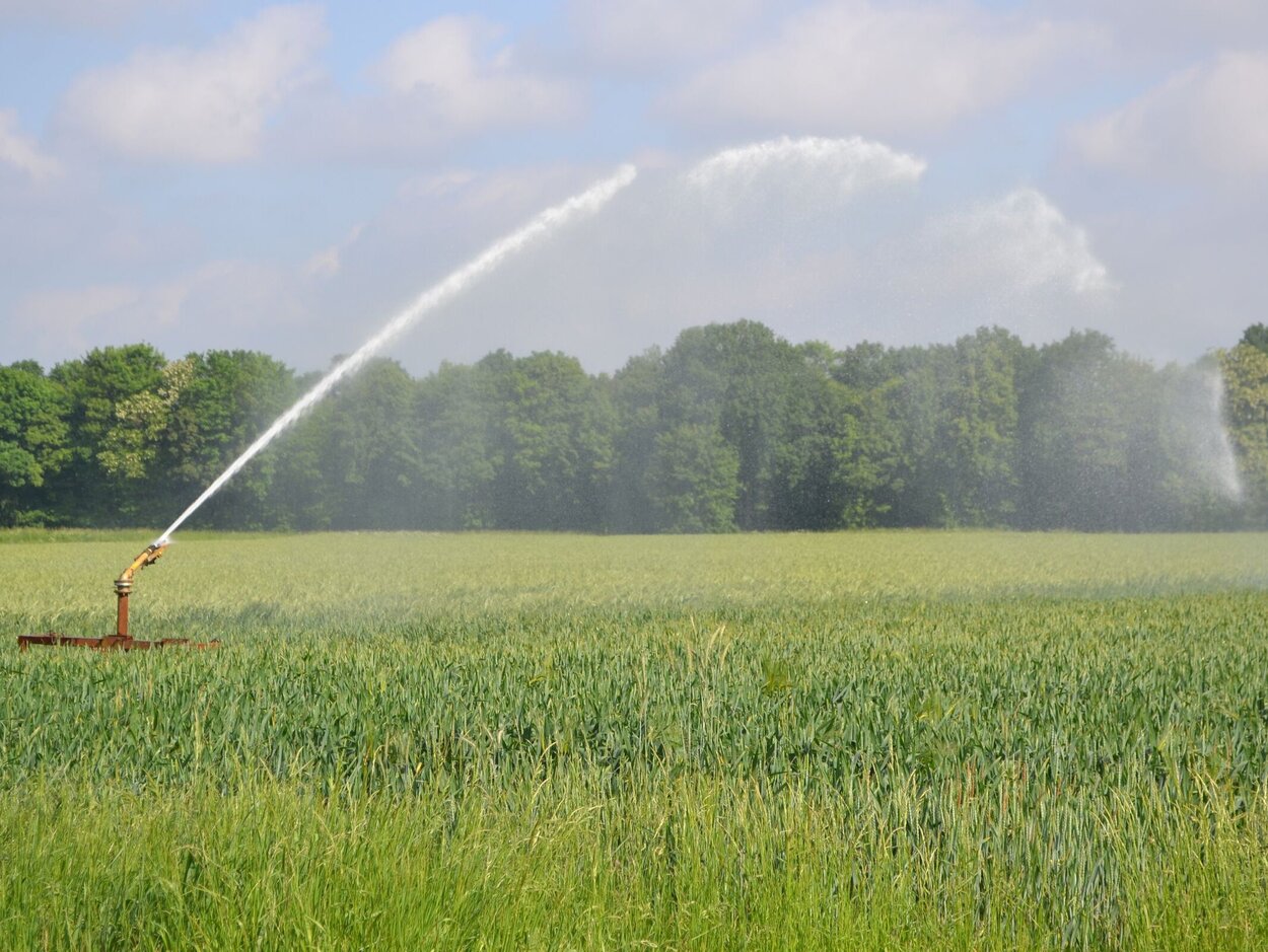 Bewässerung Ein Feld wird über eine Bewässerungsanlage mit Wasser versorgt