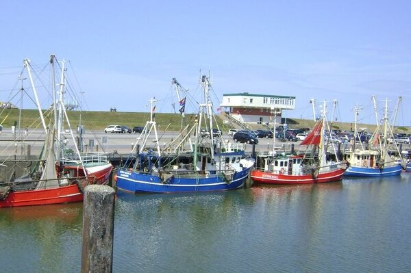 Krabbenkutter in Accumersiel. Krabbenkutter in Accumersiel.