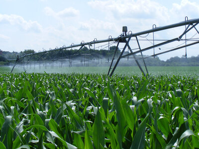 Kreisberegnung Ein Gestell mit vielen kleinen Armen, aus denen Wasser sprüht über einem Maisfeld