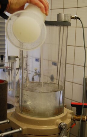 Klicken für eine Vergrösserung Vorbereitung zur Blattbildung Ausschnitt