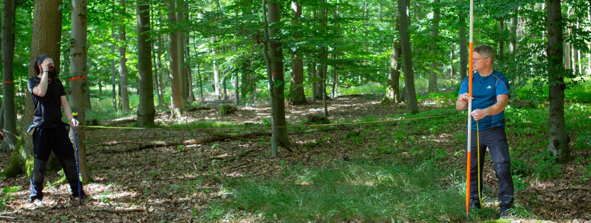 Zwei Personen stehen mit Maßband und anderen Messgeräten im Wald zwischen den Bäumen