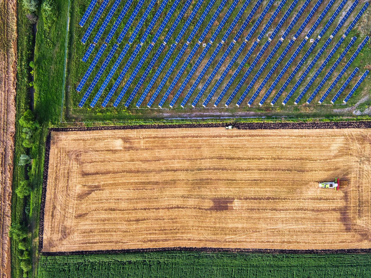 Coexistence of a grain field and a solar field