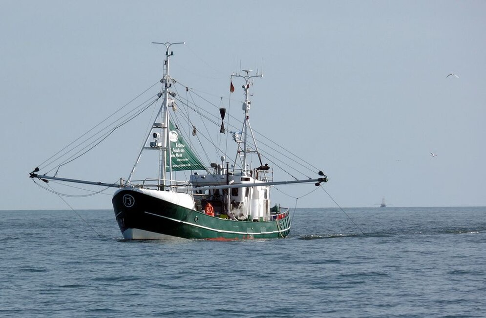 Kutter beim Fischen mit den CRANNET-Netzen