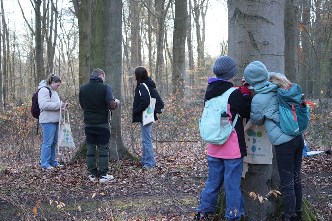 Klicken für eine Vergrösserung