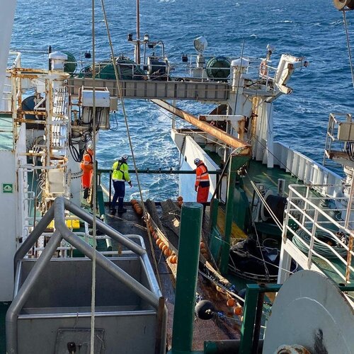 Unser Tag auf See: 3-4x heisst es "hiev op" und ein neuer Fang kommt rein. Blick auf den Fangvorgang auf dem Schiff.