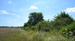 CatchHedge - Carbon sequestration of hedgerows and field copses