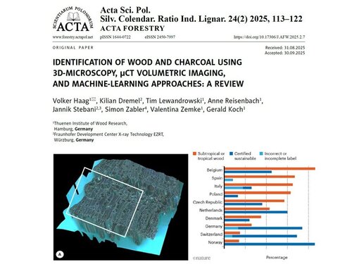 New publication on 3D microscopy, use of volumetric sub-µCT and nano-CT data in combination with artificial intelligence for wood species identification and wood market analysis