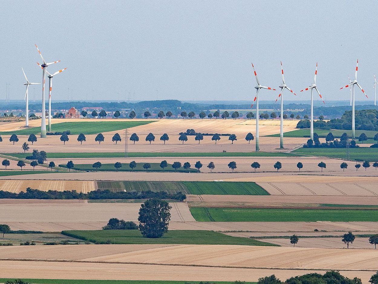 Large wind turbines stand in the middle of many yellow-brown fields and a few trees