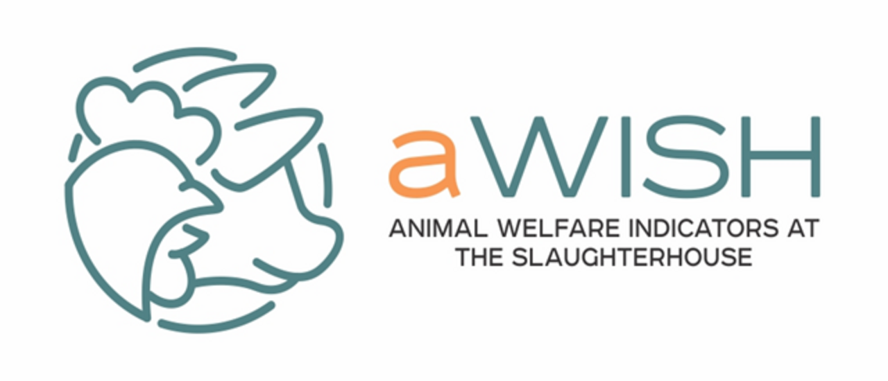 Logo aWish