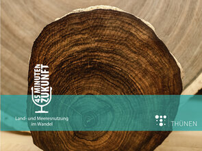 Live Podcast Leipzig lauscht Bild einer Baumscheibe und Logo des Podcast.