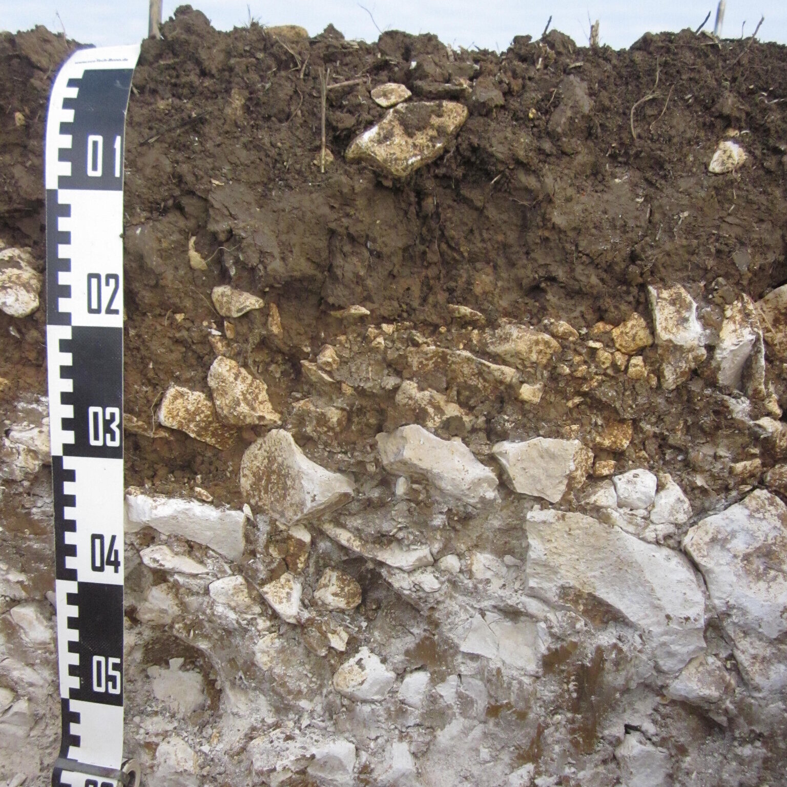 Ein flachgründiger Boden auf Kalkstein wird als Rendzina bezeichnet. Bodenprofil mit vielen Steinen.