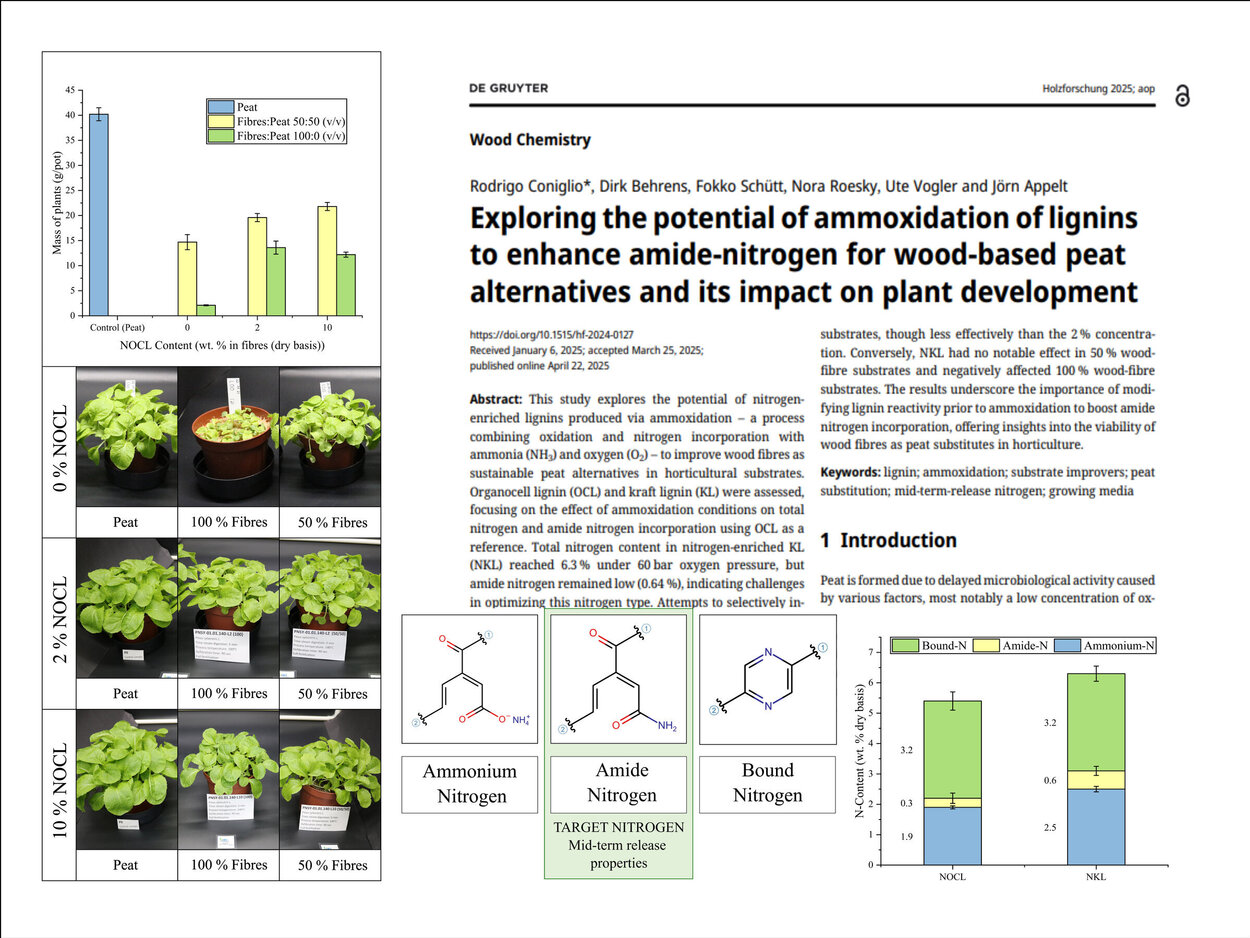Eindrücke aus der Publikation im Journal „Holzforschung“ Darstellung des Artikels im Journal