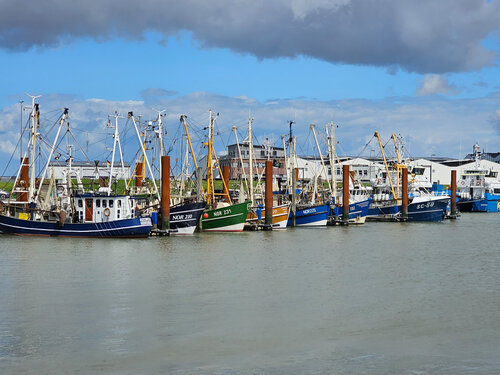 In der Nordsee wächst die Konkurrenz um knappe Fanggebiete. In einem Hafen liegen aufgereiht einige Krabbenkutter aufgereiht nebeneinander.