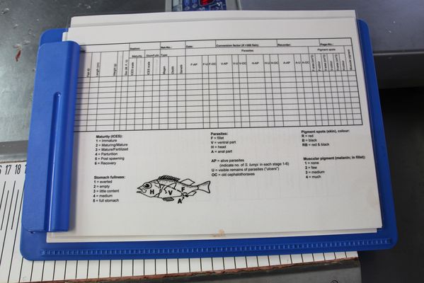 A special parasite protocol is used to document the parasite load in redfish.