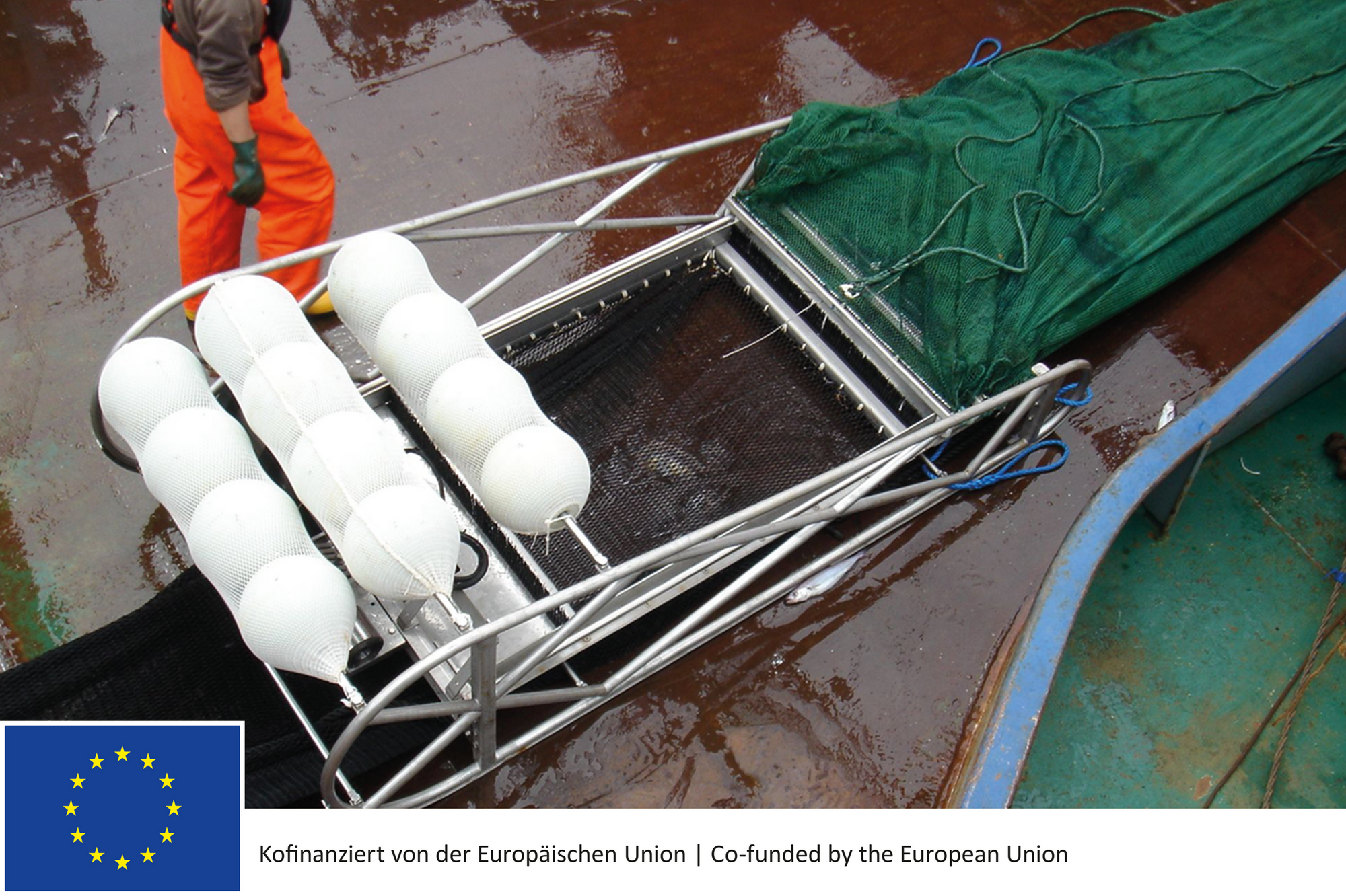 The multisampler is used in this survey because two redfish stocks are being sampled at different depths. The multisampler ensures that both stocks are not caught in one haul.