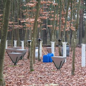 Litterfall and deposition samplers in a beech forest