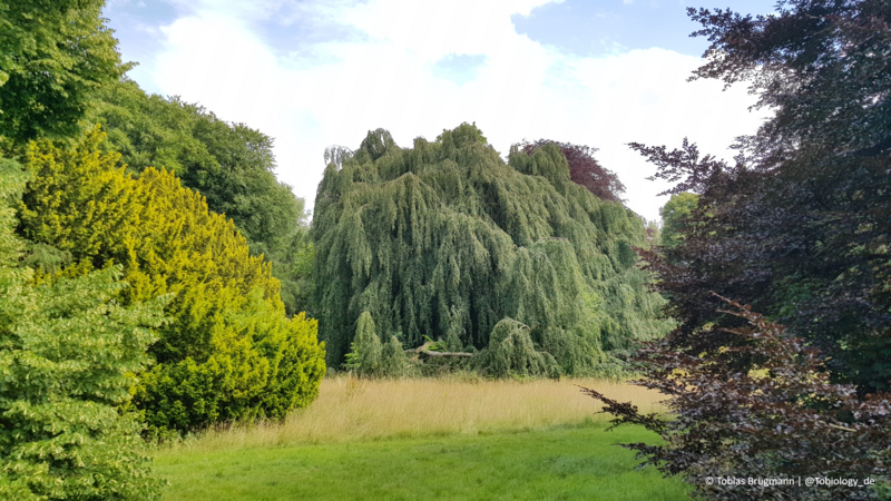 Klicken für eine Vergrösserung