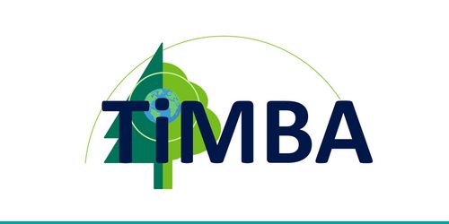 Timba Logo