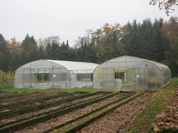 Klicken für eine Vergrösserung