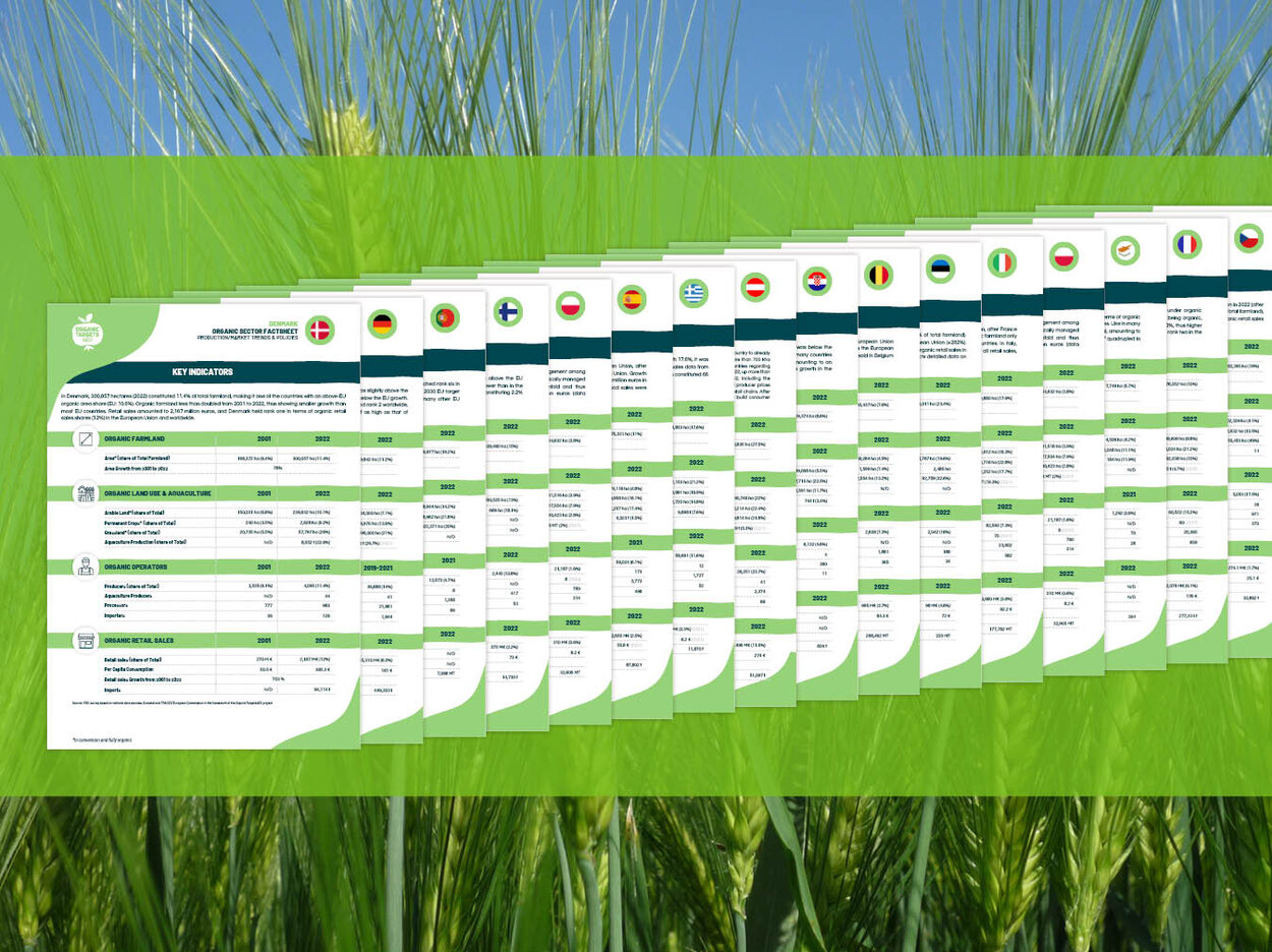 Ein grünes Weizenfeld vor blauem Himmel bildet den Hintergrund. Darüber liegt ein grünes Textfeld. Darauf sind viele übereinandergelegte Factsheets mit Länderflaggen und Daten zur ökologischen Landwirtschaft in den EU-Mitgliedstaaten zu sehen.