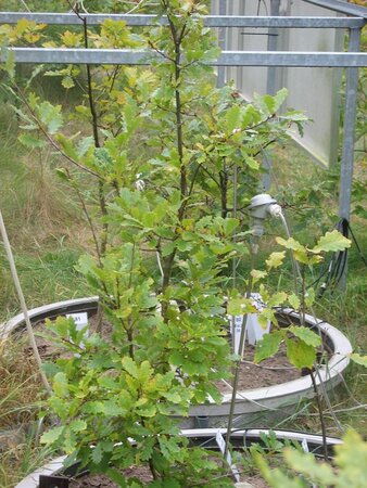 Klicken für eine Vergrösserung