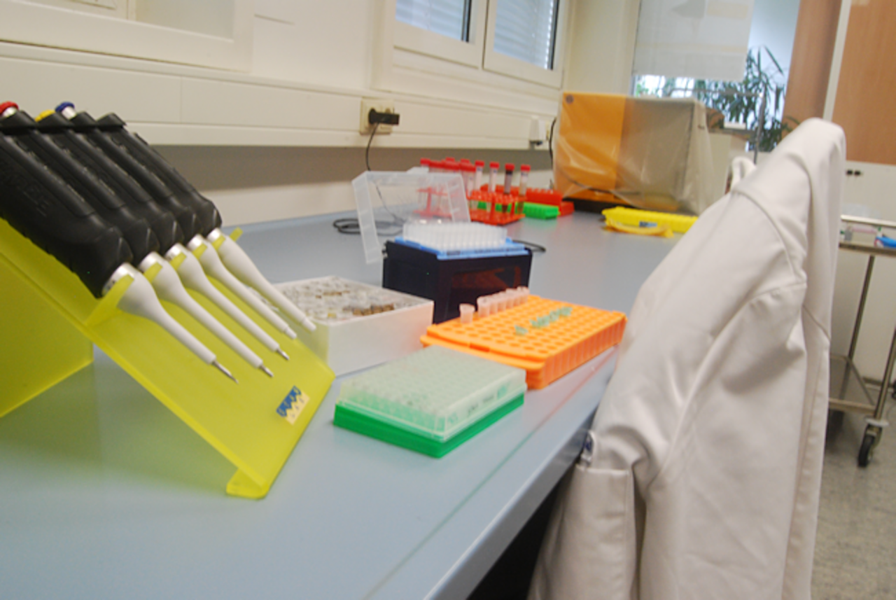 Ein typischer Arbeitsplatz.